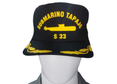 tapajo3.png